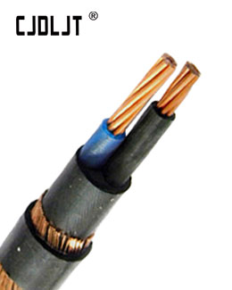 3 Core Round Copper Concentric Cable